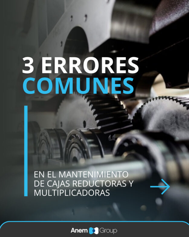 Mantenimiento preventivo de cajas reductoras industriales realizado por ANEM GROUP