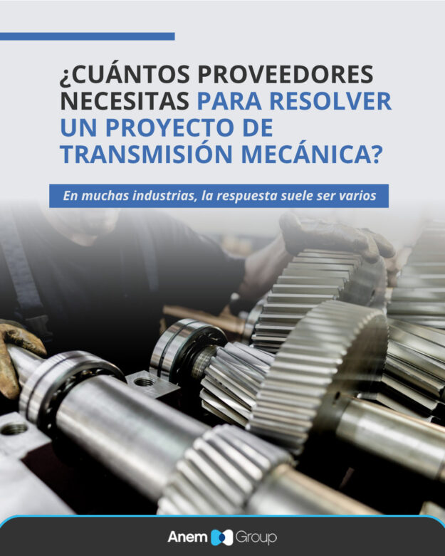Equipo de ANEM GROUP desarrollando soluciones integrales de transmisión mecánica para proyectos industriales Equipo de ANEM GROUP desarrollando soluciones integrales de transmisión mecánica
